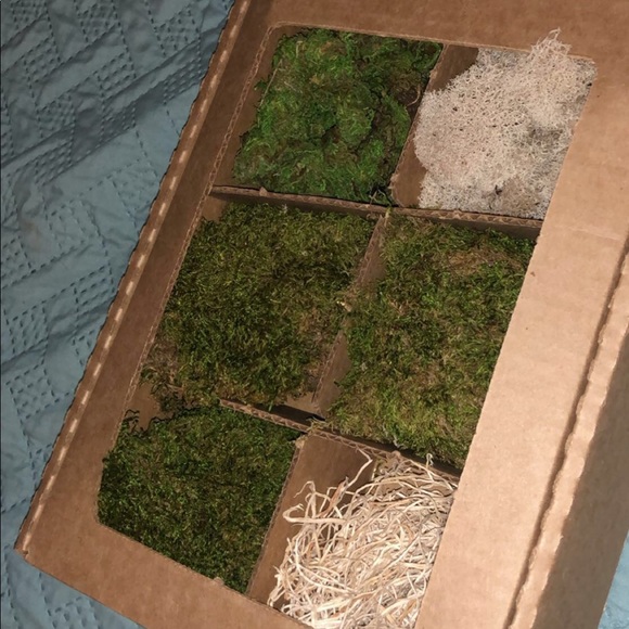 Misc decor check it out - Picture 4 of 8